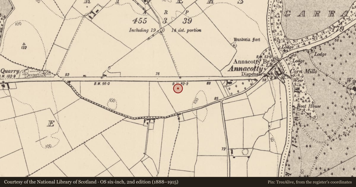 Ordnance Survey six-inch map, 2nd edition (1888–1915) covering the location of Enclosure, Rivers, County Limerick, with a pin at the register's coordinates