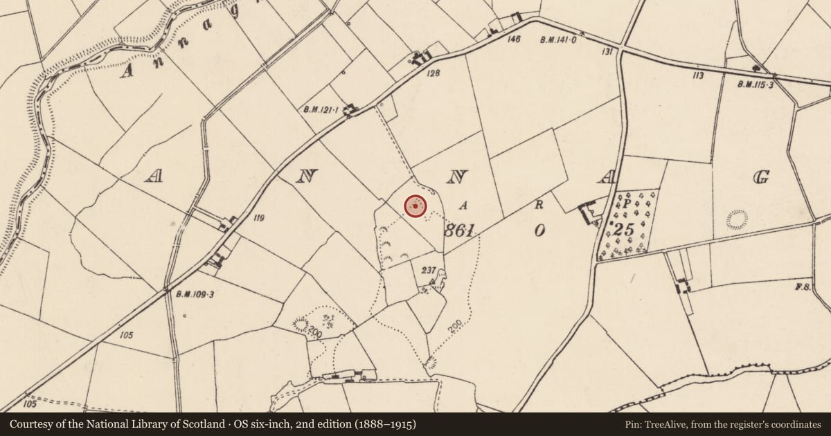 Ordnance Survey six-inch map, 2nd edition (1888–1915) covering the location of Burial, Annagh, County Limerick, with a pin at the register's coordinates