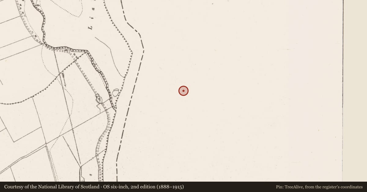 Ordnance Survey six-inch map, 2nd edition (1888–1915) covering the location of Burial, Prospect, County Limerick, with a pin at the register's coordinates