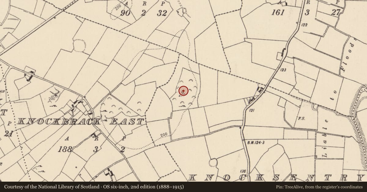 Ordnance Survey six-inch map, 2nd edition (1888–1915) covering the location of Standing stone, Knocksentry, County Limerick, with a pin at the register's coordinates