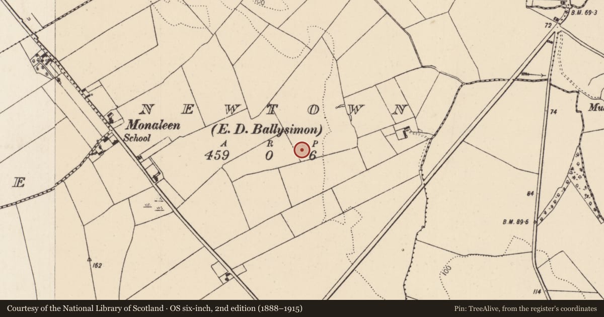 Ordnance Survey six-inch map, 2nd edition (1888–1915) covering the location of Hut site, Newtown, County Limerick, with a pin at the register's coordinates