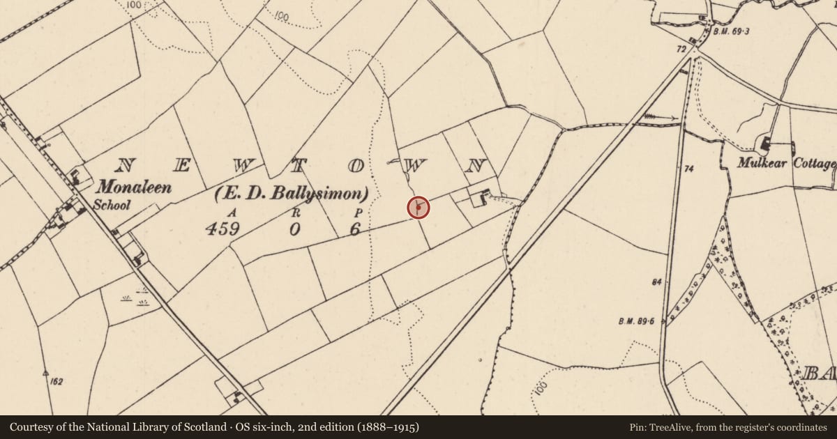 Ordnance Survey six-inch map, 2nd edition (1888–1915) covering the location of Fulacht fia, Newtown, County Limerick, with a pin at the register's coordinates