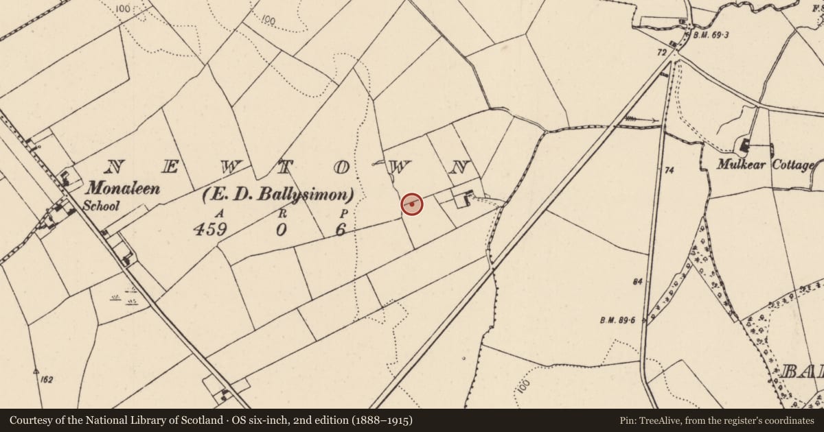 Ordnance Survey six-inch map, 2nd edition (1888–1915) covering the location of Fulacht fia, Newtown, County Limerick, with a pin at the register's coordinates