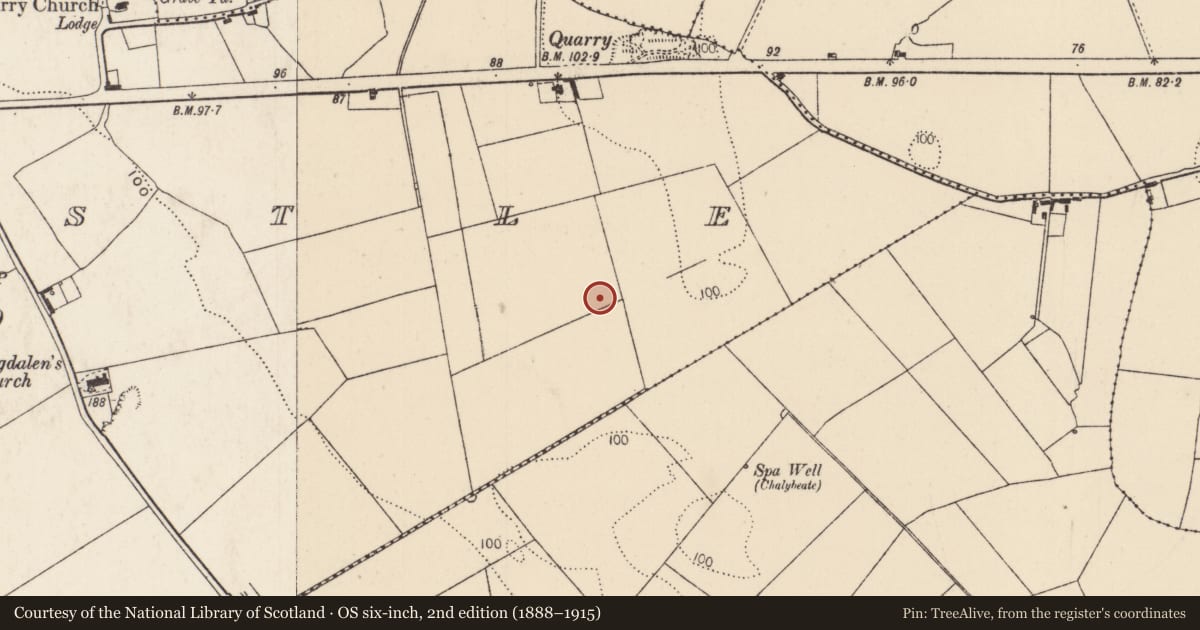 Ordnance Survey six-inch map, 2nd edition (1888–1915) covering the location of Fulacht fia, Newcastle, County Limerick, with a pin at the register's coordinates