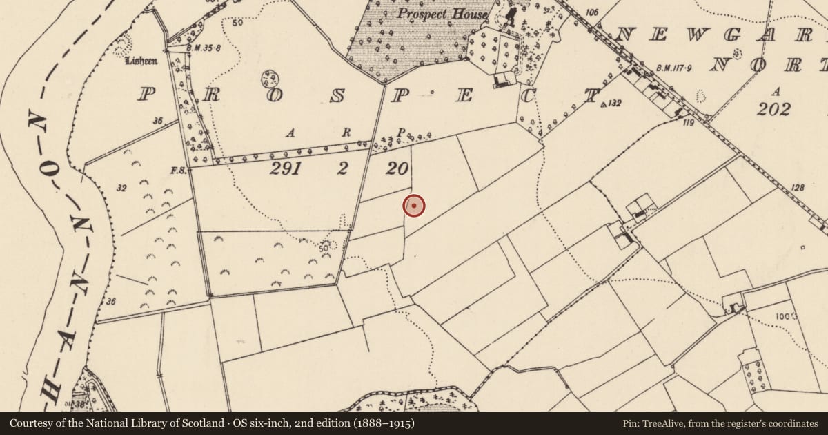 Ordnance Survey six-inch map, 2nd edition (1888–1915) covering the location of Fulacht fia, Prospect, County Limerick, with a pin at the register's coordinates
