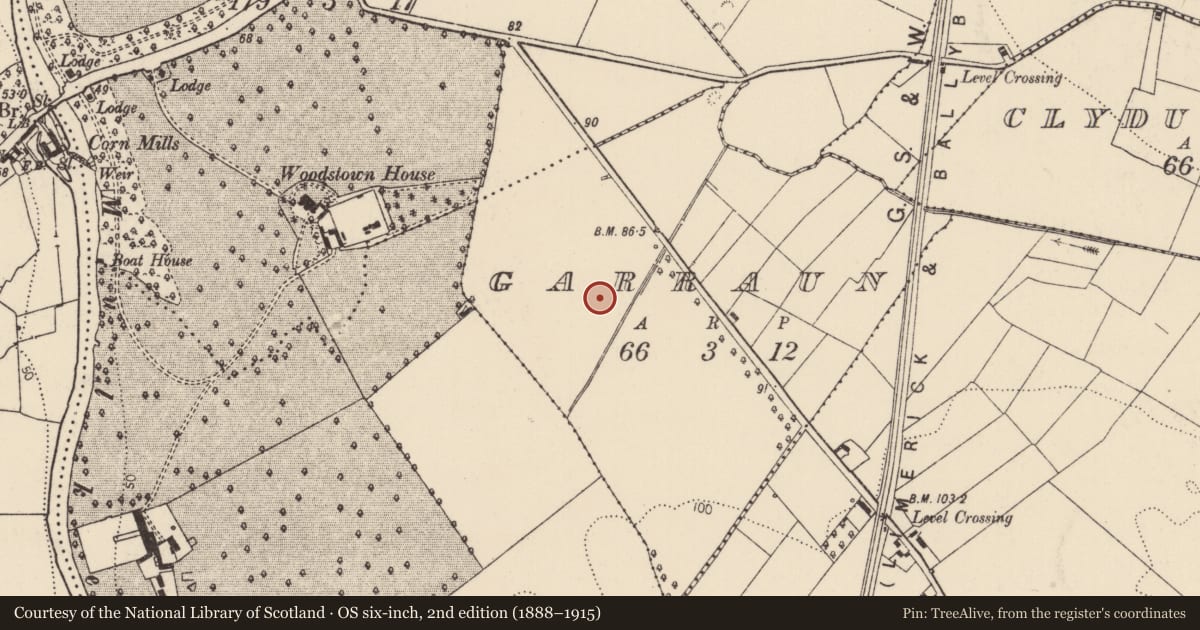 Ordnance Survey six-inch map, 2nd edition (1888–1915) covering the location of Excavation - miscellaneous, Garraun, County Limerick, with a pin at the register's coordinates