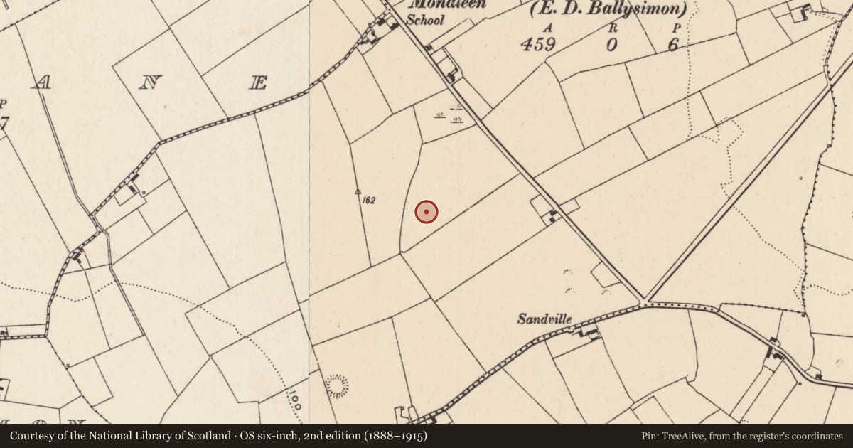 Ordnance Survey six-inch map, 2nd edition (1888–1915) covering the location of Excavation - miscellaneous, Newtown, County Limerick, with a pin at the register's coordinates