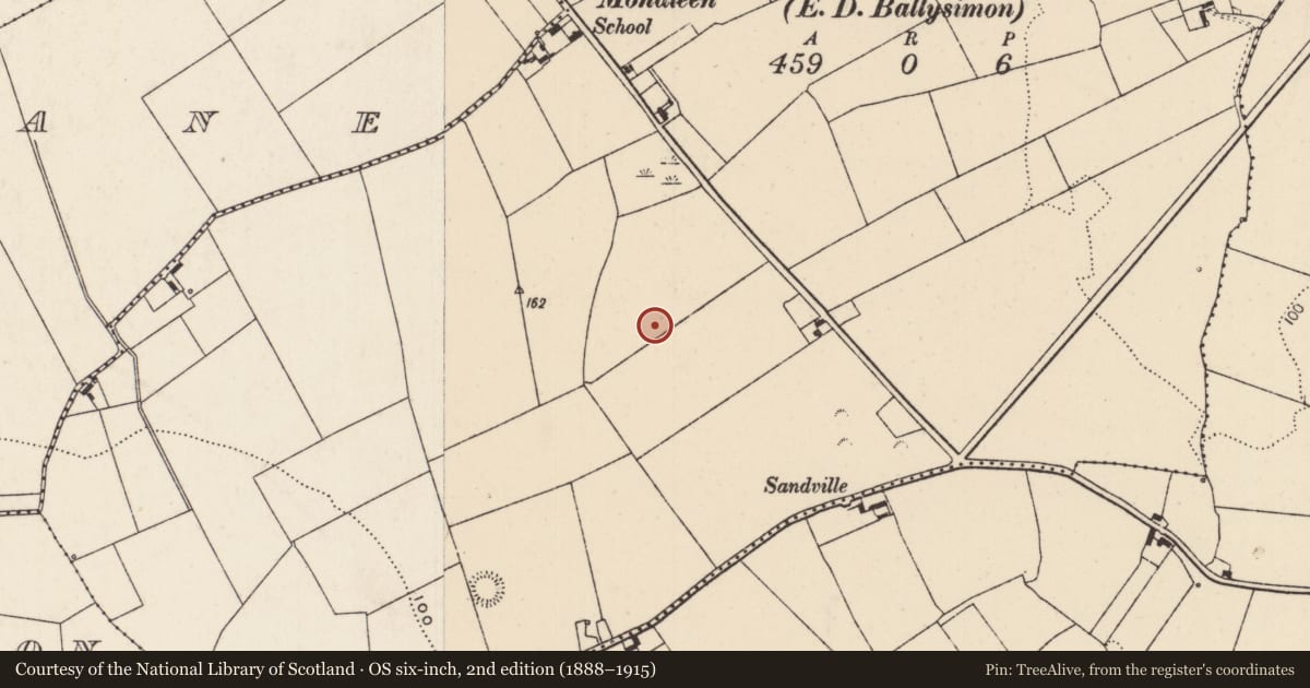 Ordnance Survey six-inch map, 2nd edition (1888–1915) covering the location of Ringfort - rath, Newtown, County Limerick, with a pin at the register's coordinates