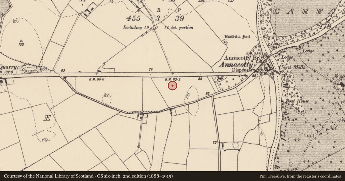 Ordnance Survey six-inch map, 2nd edition (1888–1915) covering the location of Kiln - corn-drying, Rivers, County Limerick, with a pin at the register's coordinates