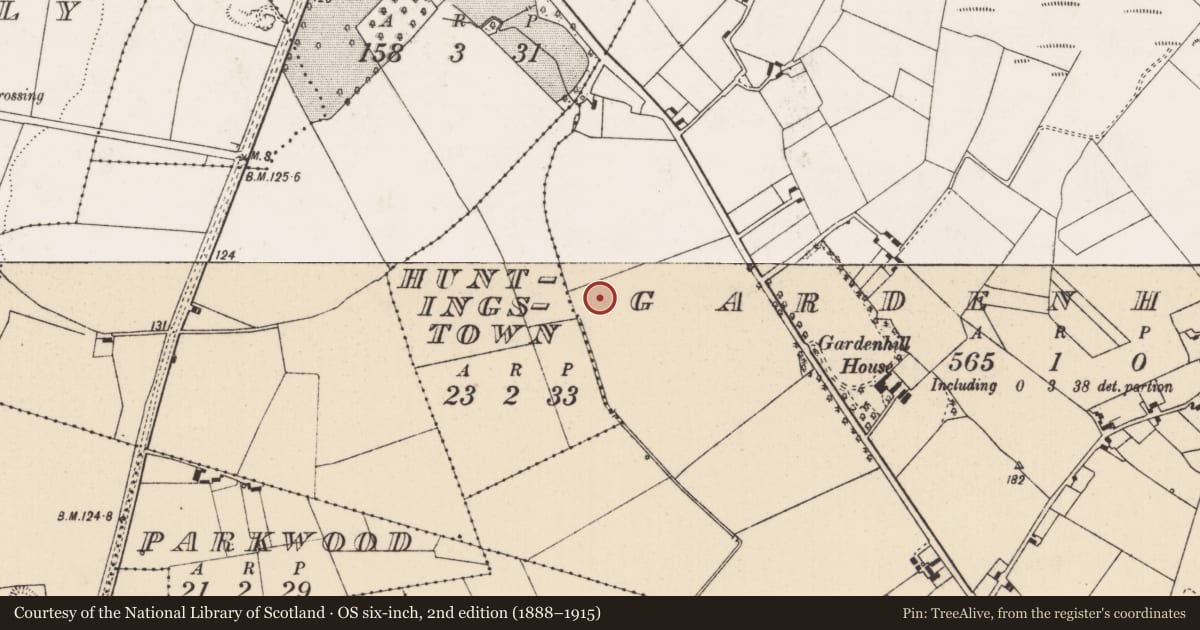 Ordnance Survey six-inch map, 2nd edition (1888–1915) covering the location of Fulacht fia, Gardenhill, County Limerick, with a pin at the register's coordinates