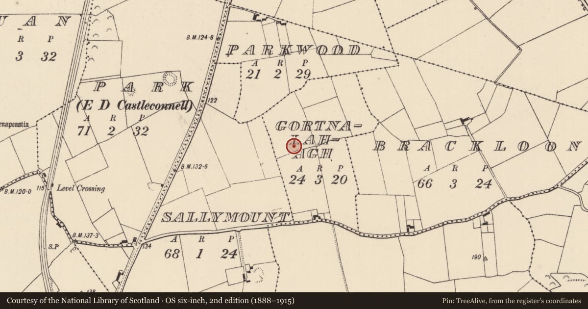 Ordnance Survey six-inch map, 2nd edition (1888–1915) covering the location of Excavation - miscellaneous, Gortnalahagh, County Limerick, with a pin at the register's coordinates