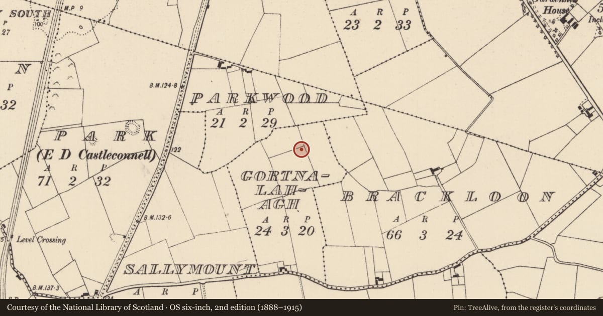 Ordnance Survey six-inch map, 2nd edition (1888–1915) covering the location of Fulacht fia, Gortnalahagh, County Limerick, with a pin at the register's coordinates
