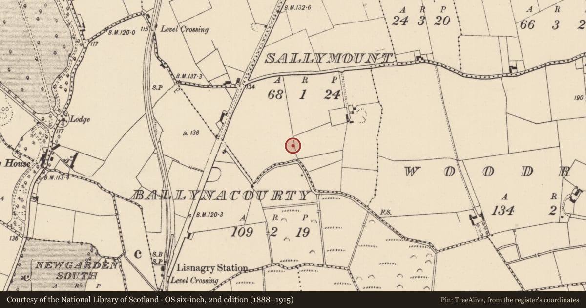 Ordnance Survey six-inch map, 2nd edition (1888–1915) covering the location of Fulacht fia, Sallymount, County Limerick, with a pin at the register's coordinates