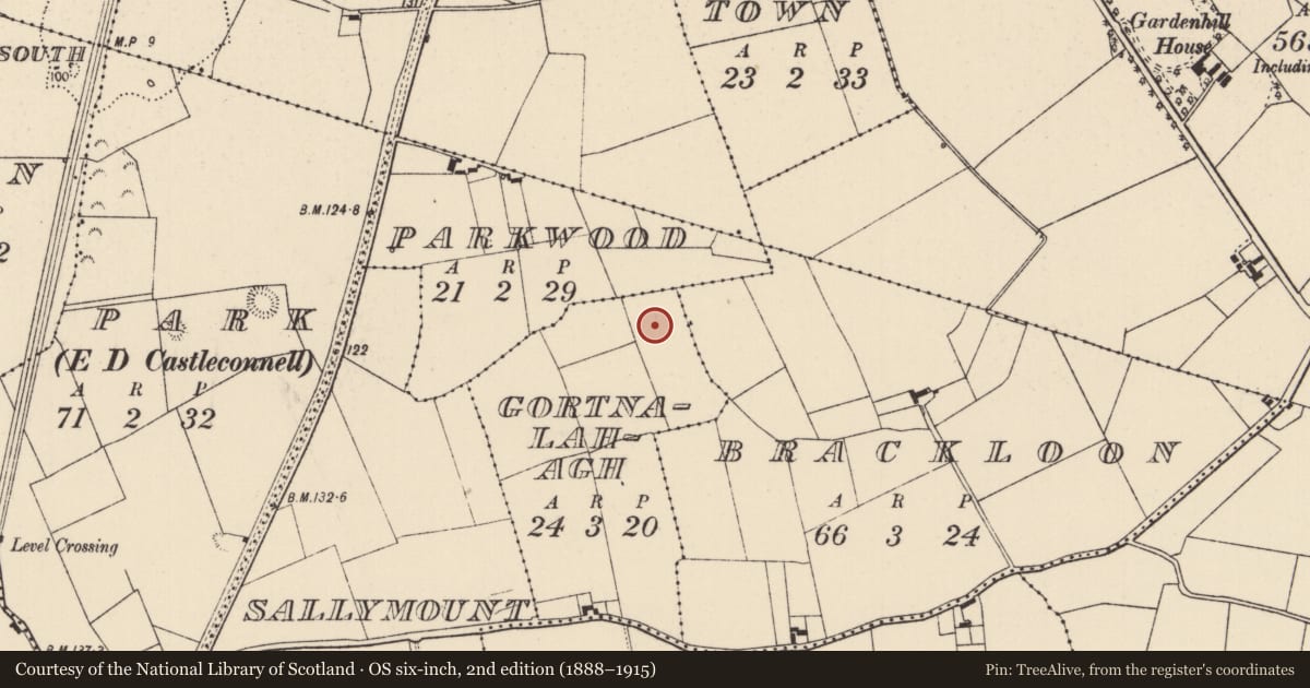 Ordnance Survey six-inch map, 2nd edition (1888–1915) covering the location of Pit, Sallymount, County Limerick, with a pin at the register's coordinates