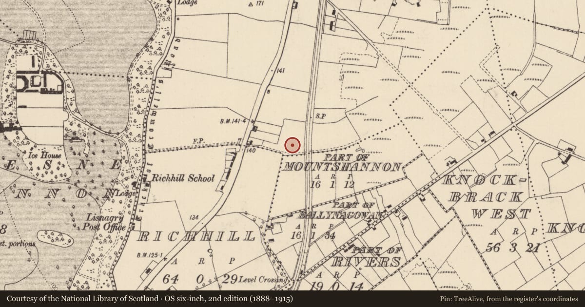 Ordnance Survey six-inch map, 2nd edition (1888–1915) covering the location of Fulacht fia, Lisnagry, County Limerick, with a pin at the register's coordinates