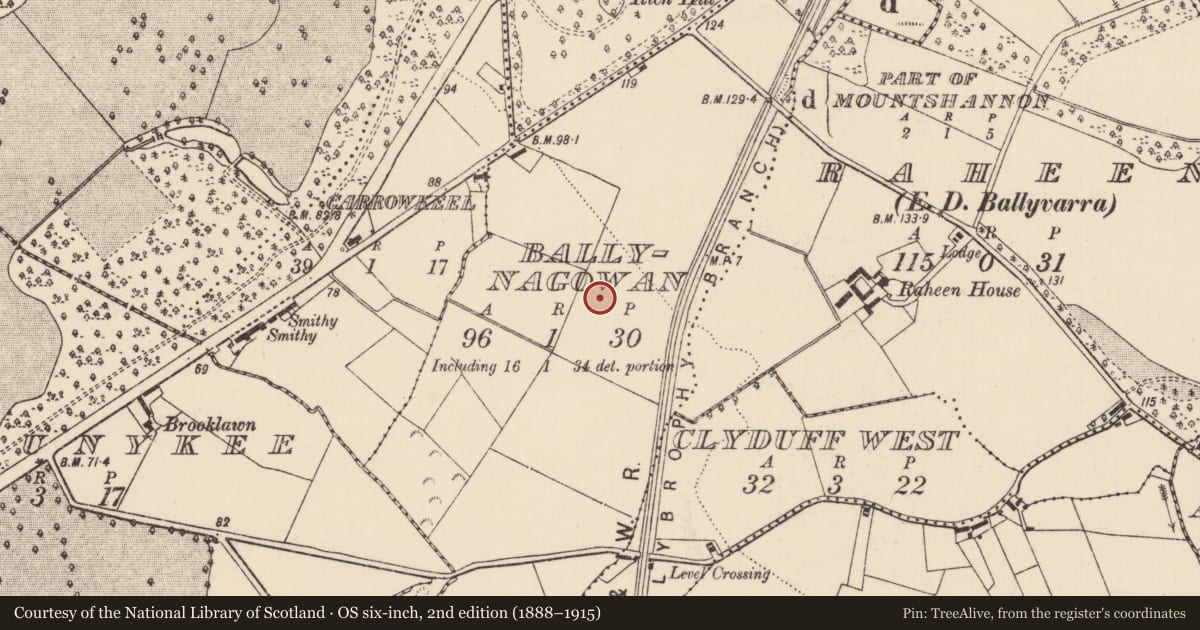 Ordnance Survey six-inch map, 2nd edition (1888–1915) covering the location of Enclosure, Ballynagowan, County Limerick, with a pin at the register's coordinates