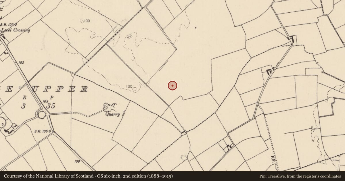 Ordnance Survey six-inch map, 2nd edition (1888–1915) covering the location of Barrow - unclassified, Biddyford, County Limerick, with a pin at the register's coordinates
