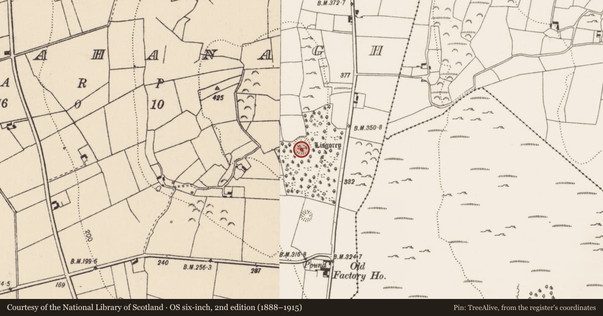 Ordnance Survey six-inch map, 2nd edition (1888–1915) covering the location of Hilltop enclosure, Cappanahanagh, County Limerick, with a pin at the register's coordinates