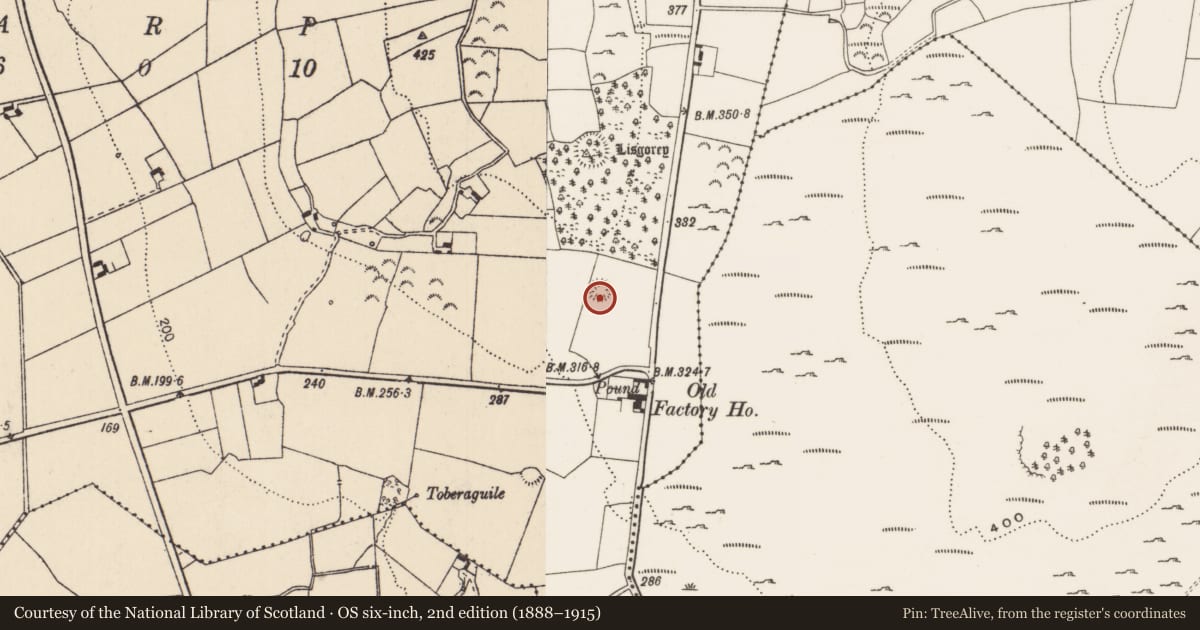 Ordnance Survey six-inch map, 2nd edition (1888–1915) covering the location of Ringfort - rath, Cappanahanagh, County Limerick, with a pin at the register's coordinates