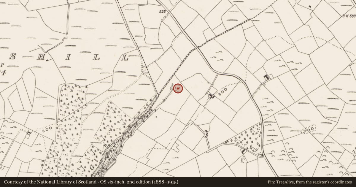 Ordnance Survey six-inch map, 2nd edition (1888–1915) covering the location of Ringfort - rath, Garranbane, County Limerick, with a pin at the register's coordinates