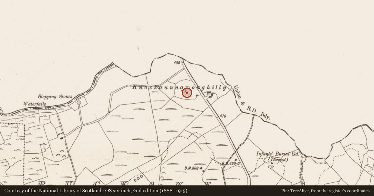 Ordnance Survey six-inch map, 2nd edition (1888–1915) covering the location of Barrow - bowl-barrow, Puckane, County Limerick, with a pin at the register's coordinates