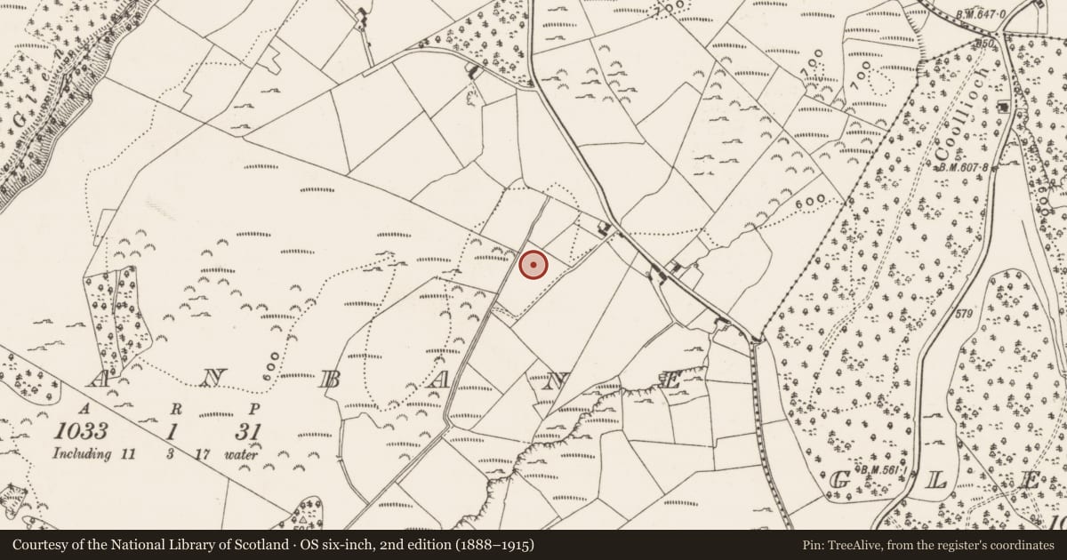 Ordnance Survey six-inch map, 2nd edition (1888–1915) covering the location of Megalithic tomb - wedge tomb, Garranbane, County Limerick, with a pin at the register's coordinates