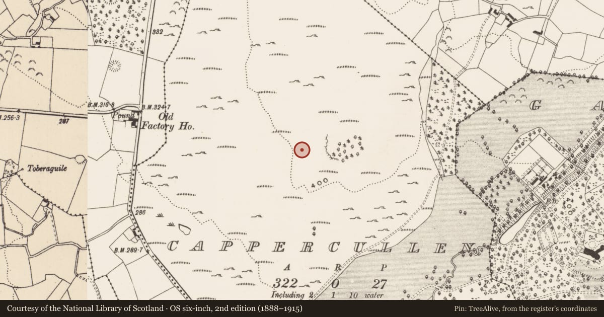 Ordnance Survey six-inch map, 2nd edition (1888–1915) covering the location of Deer park, Cappercullen, County Limerick, with a pin at the register's coordinates