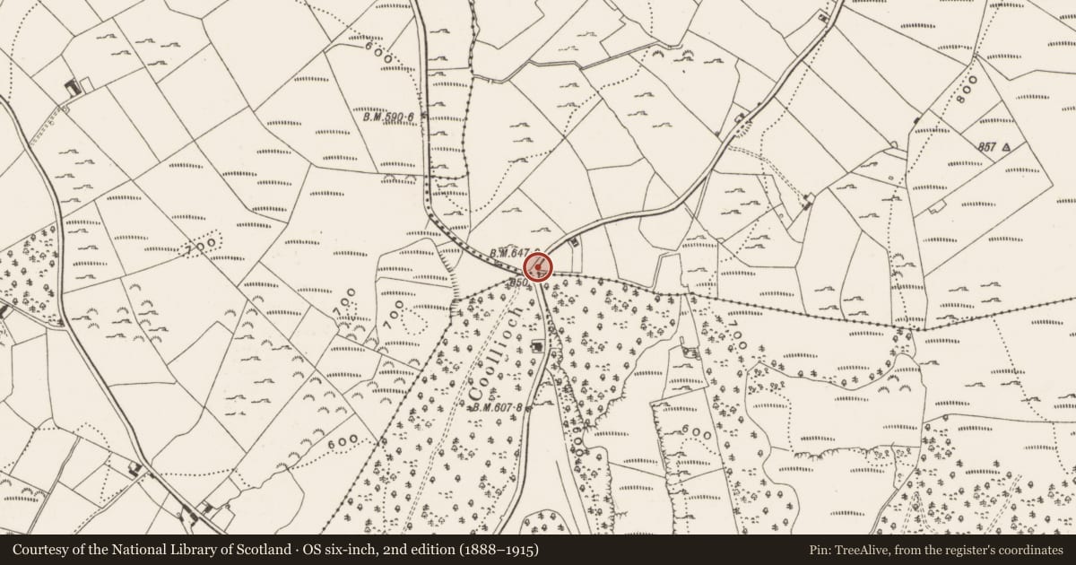 Ordnance Survey six-inch map, 2nd edition (1888–1915) covering the location of Cairn - boundary cairn, Meentolla, County Limerick, with a pin at the register's coordinates