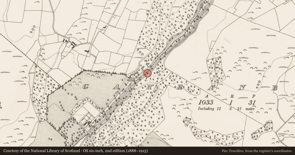Ordnance Survey six-inch map, 2nd edition (1888–1915) covering the location of Mass-rock, Boarmanshill, Garranbane, County Limerick, with a pin at the register's coordinates