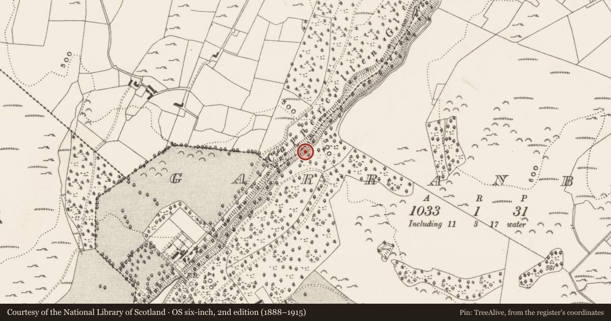 Ordnance Survey six-inch map, 2nd edition (1888–1915) covering the location of Wall monument (present location), Boarmanshill, Garranbane, County Limerick, with a pin at the register's coordinates