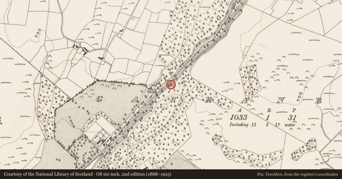 Ordnance Survey six-inch map, 2nd edition (1888–1915) covering the location of Wall monument (present location), Garranbane, Boarmanshill, County Limerick, with a pin at the register's coordinates