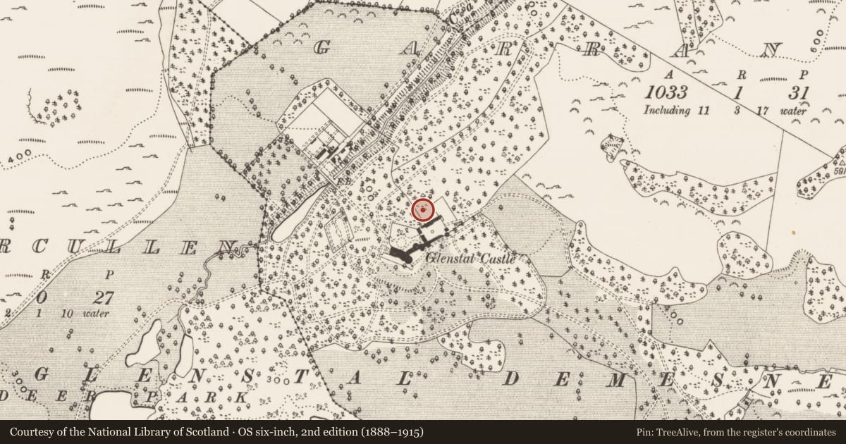 Ordnance Survey six-inch map, 2nd edition (1888–1915) covering the location of Armorial plaque (present location), Garranbane, County Limerick, with a pin at the register's coordinates