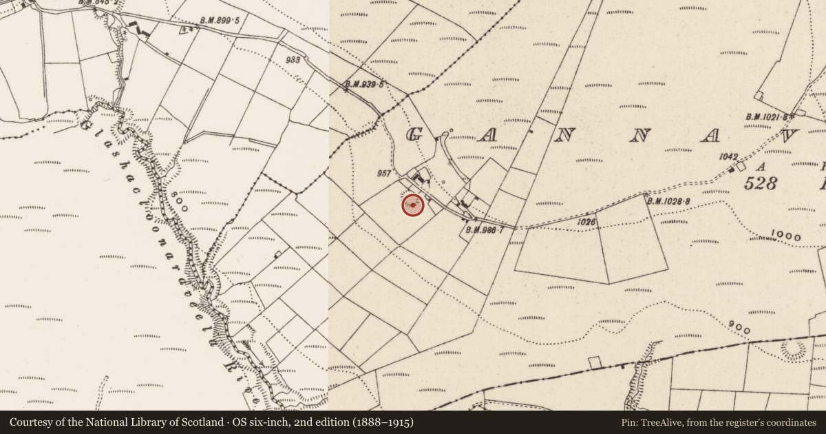 Ordnance Survey six-inch map, 2nd edition (1888–1915) covering the location of Ringfort - rath, Gannavane Upper, County Limerick, with a pin at the register's coordinates
