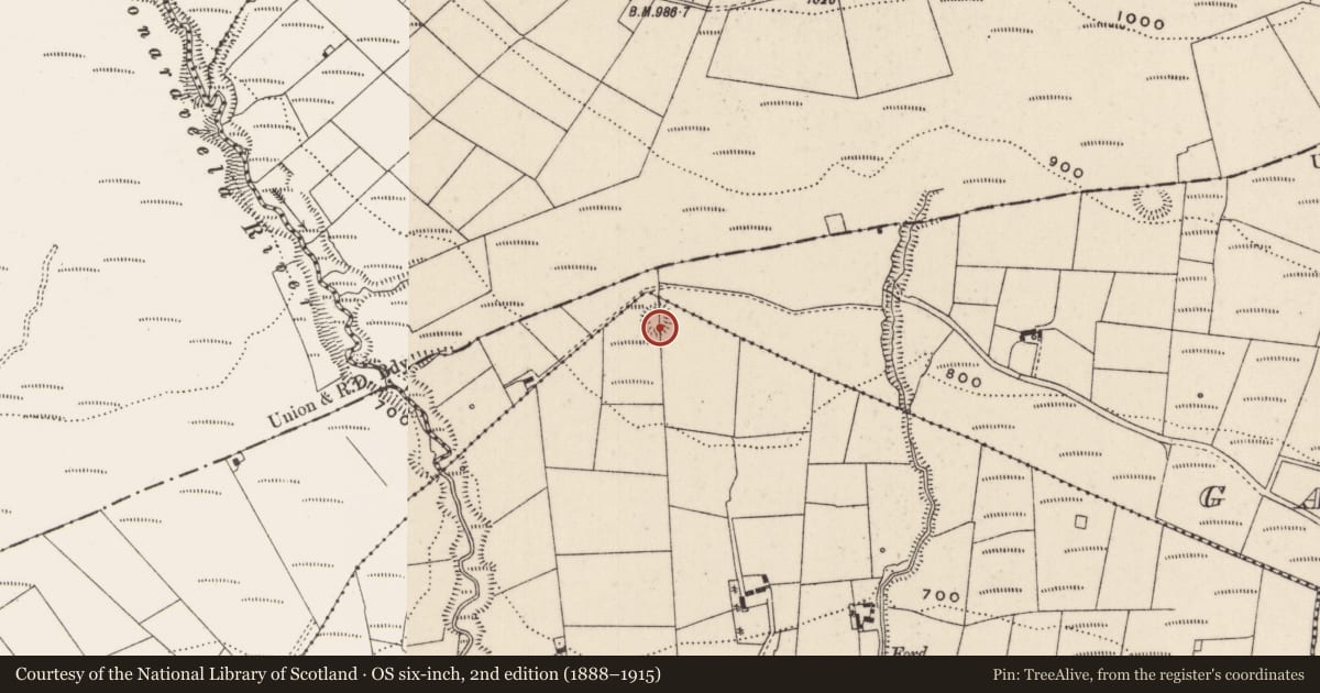 Ordnance Survey six-inch map, 2nd edition (1888–1915) covering the location of Ringfort - rath, Curraghlahan, County Limerick, with a pin at the register's coordinates
