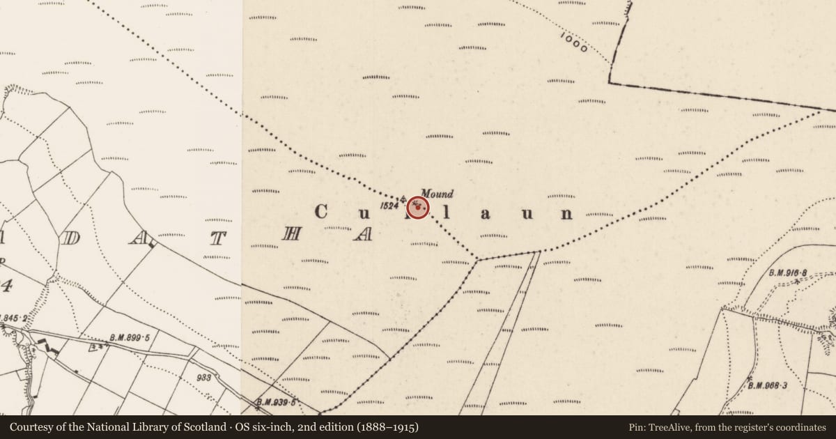 Ordnance Survey six-inch map, 2nd edition (1888–1915) covering the location of Barrow - ring-barrow, Falleenadatha, Muingacree, County Limerick, with a pin at the register's coordinates