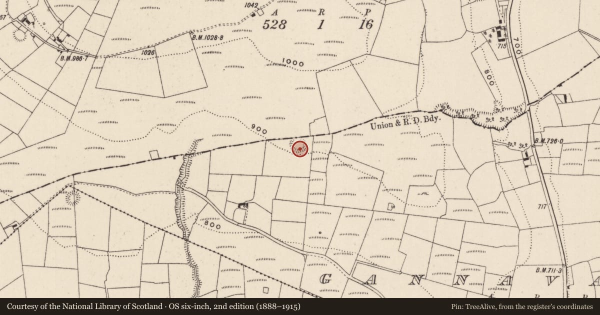 Ordnance Survey six-inch map, 2nd edition (1888–1915) covering the location of Barrow - unclassified, Gannavane, County Limerick, with a pin at the register's coordinates