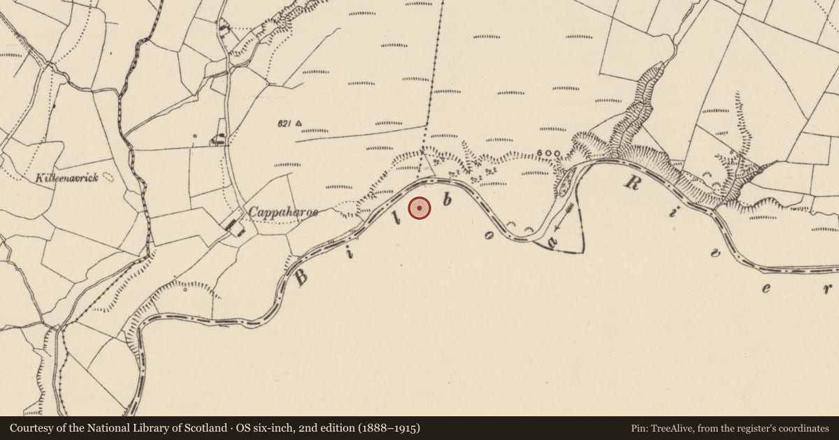 Ordnance Survey six-inch map, 2nd edition (1888–1915) covering the location of Barrow - unclassified, Curraghafoil, County Limerick, with a pin at the register's coordinates