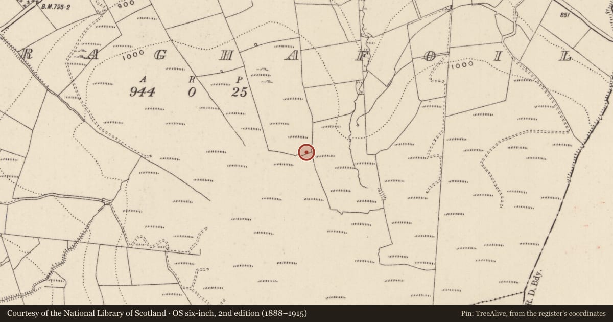 Ordnance Survey six-inch map, 2nd edition (1888–1915) covering the location of Enclosure, Curraghafoil, County Limerick, with a pin at the register's coordinates