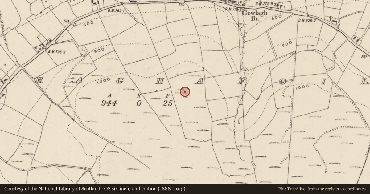 Ordnance Survey six-inch map, 2nd edition (1888–1915) covering the location of Enclosure, Curraghafoil, County Limerick, with a pin at the register's coordinates