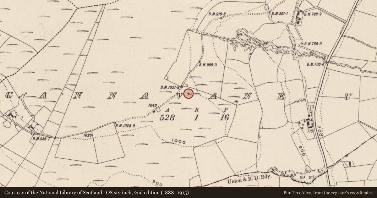 Ordnance Survey six-inch map, 2nd edition (1888–1915) covering the location of Cairn - burial cairn, Gannavane, County Limerick, with a pin at the register's coordinates