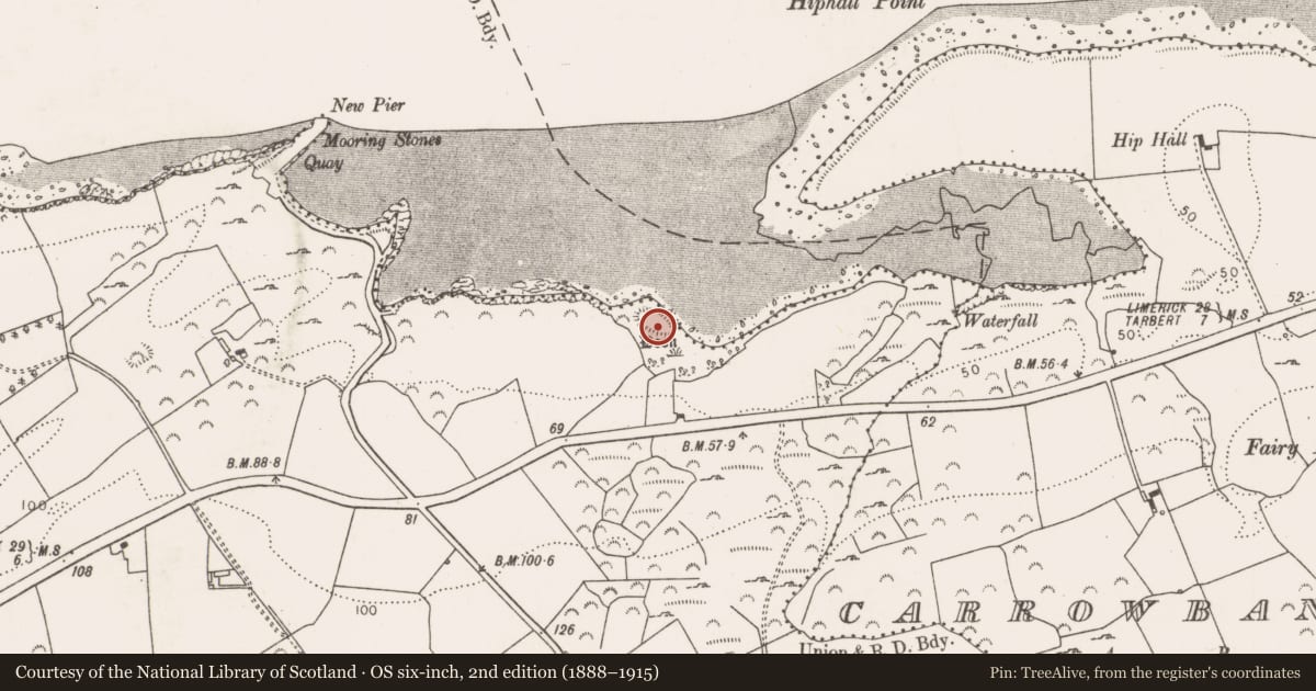 Ordnance Survey six-inch map, 2nd edition (1888–1915) covering the location of Cliff-edge fort, Kilteery, County Limerick, with a pin at the register's coordinates