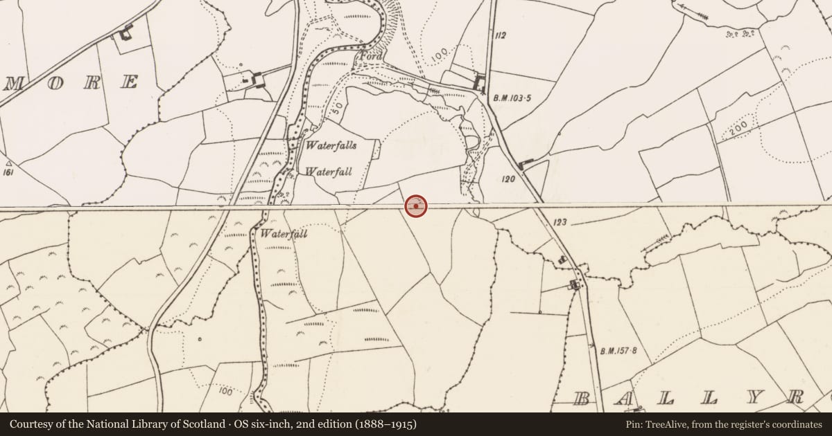 Ordnance Survey six-inch map, 2nd edition (1888–1915) covering the location of Enclosure, Loghill, County Limerick, with a pin at the register's coordinates