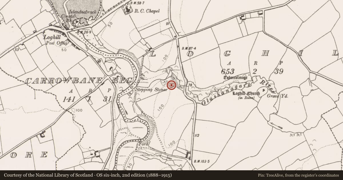 Ordnance Survey six-inch map, 2nd edition (1888–1915) covering the location of Cliff-edge fort, Loghill, County Limerick, with a pin at the register's coordinates