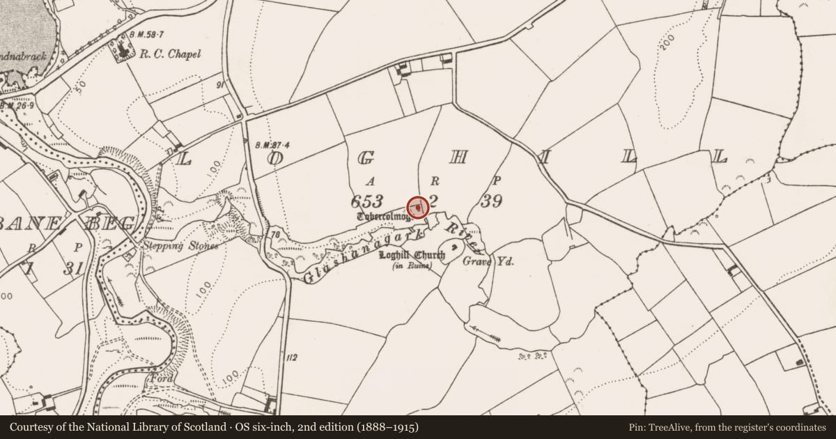 Ordnance Survey six-inch map, 2nd edition (1888–1915) covering the location of Ritual site - holy well, Loghill, County Limerick, with a pin at the register's coordinates