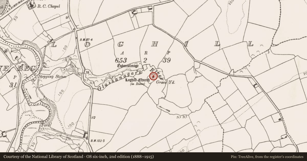 Ordnance Survey six-inch map, 2nd edition (1888–1915) covering the location of Church, Loghill, County Limerick, with a pin at the register's coordinates