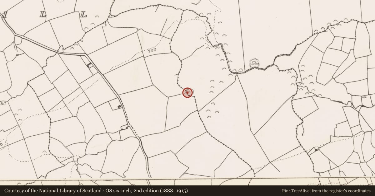 Ordnance Survey six-inch map, 2nd edition (1888–1915) covering the location of Ringfort - rath, Knocknabooly Middle, County Limerick, with a pin at the register's coordinates
