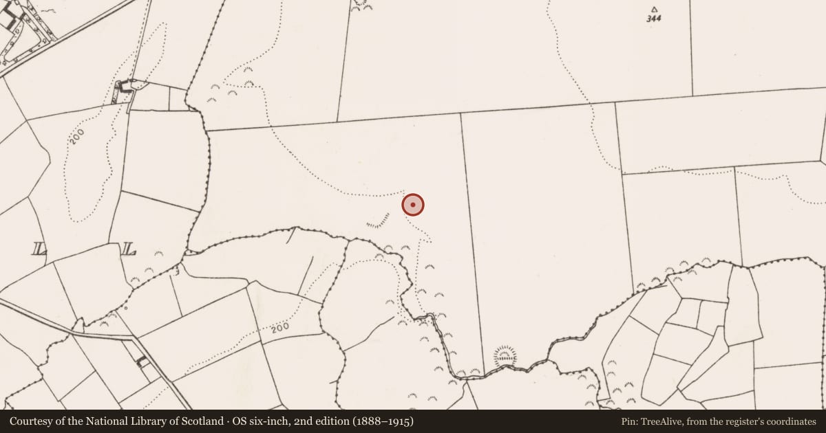 Ordnance Survey six-inch map, 2nd edition (1888–1915) covering the location of Mound, Mounttrenchard, County Limerick, with a pin at the register's coordinates