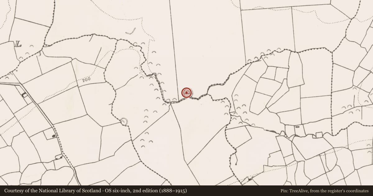 Ordnance Survey six-inch map, 2nd edition (1888–1915) covering the location of Cliff-edge fort, Mounttrenchard, County Limerick, with a pin at the register's coordinates