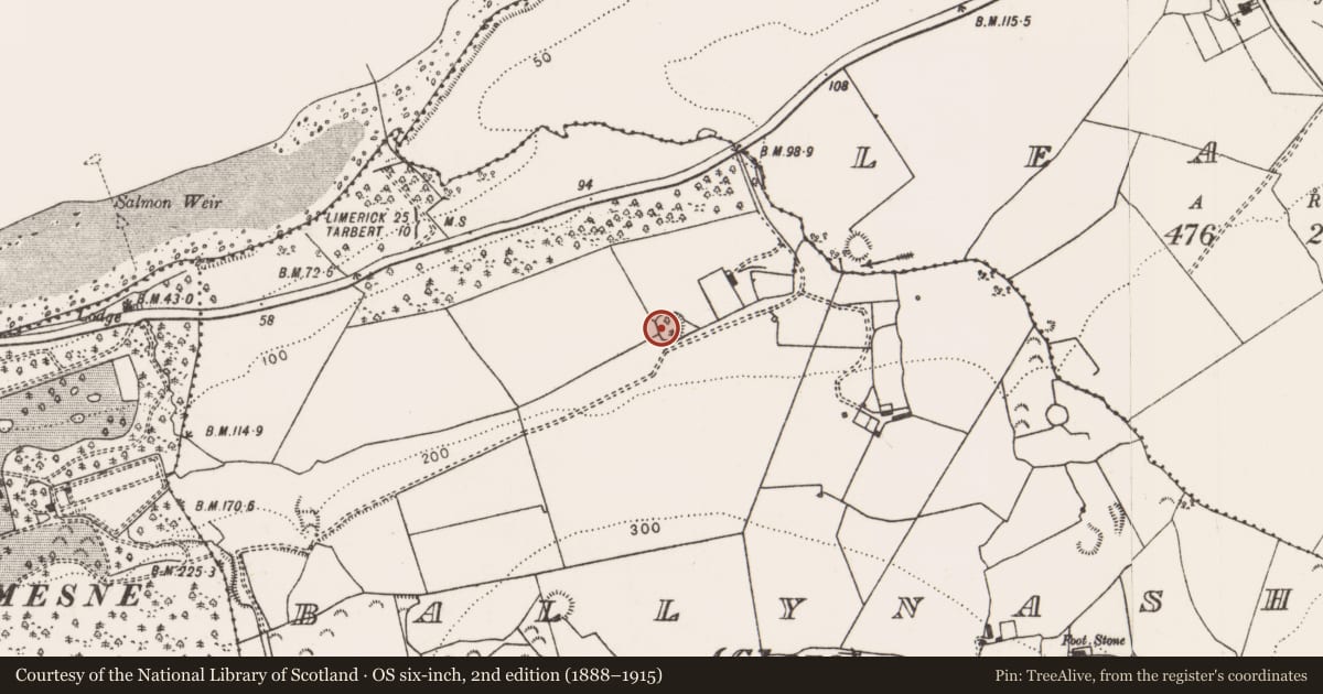 Ordnance Survey six-inch map, 2nd edition (1888–1915) covering the location of Ringfort - rath, Ballynash (Clare), County Limerick, with a pin at the register's coordinates