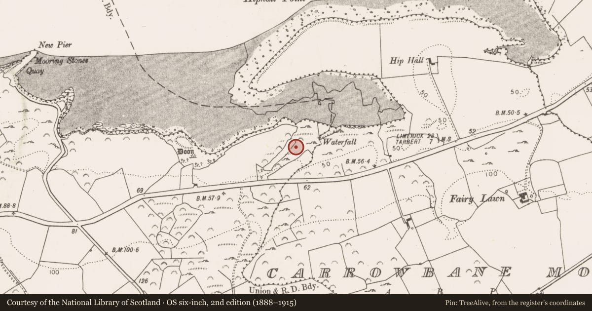 Ordnance Survey six-inch map, 2nd edition (1888–1915) covering the location of Church, Kilteery, County Limerick, with a pin at the register's coordinates